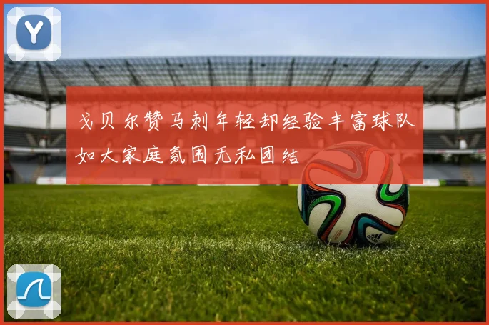 戈贝尔赞马刺年轻却经验丰富球队如大家庭氛围无私团结