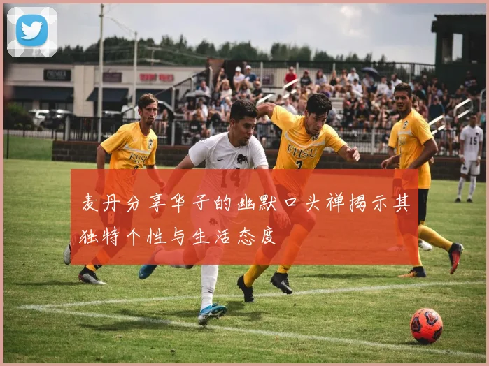 麦丹分享华子的幽默口头禅揭示其独特个性与生活态度